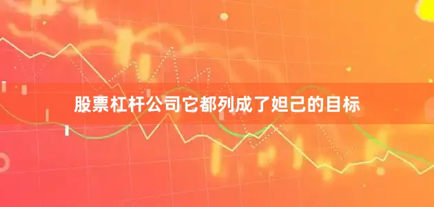 股票杠杆公司它都列成了妲己的目标