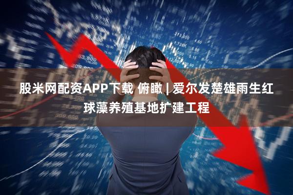 股米网配资APP下载 俯瞰 | 爱尔发楚雄雨生红球藻养殖基地扩建工程