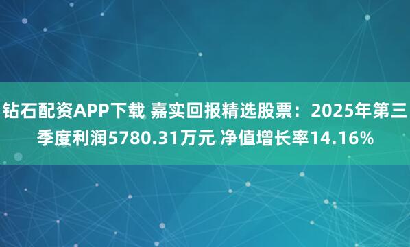 钻石配资APP下载 嘉实回报精选股票：2025年第三季度利润5780.31万元 净值增长率14.16%