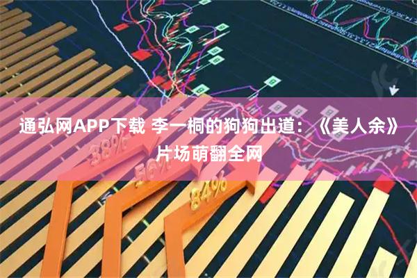 通弘网APP下载 李一桐的狗狗出道：《美人余》片场萌翻全网