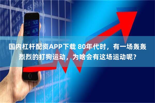 国内杠杆配资APP下载 80年代时，有一场轰轰烈烈的打狗运动，为啥会有这场运动呢？