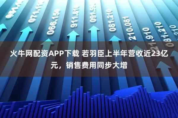 火牛网配资APP下载 若羽臣上半年营收近23亿元，销售费用同步大增