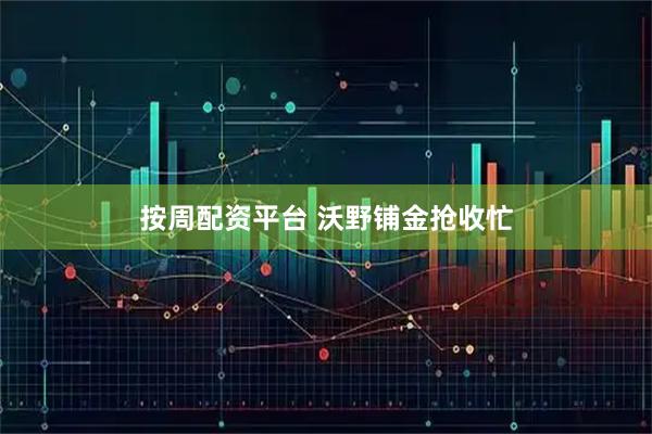 按周配资平台 沃野铺金抢收忙
