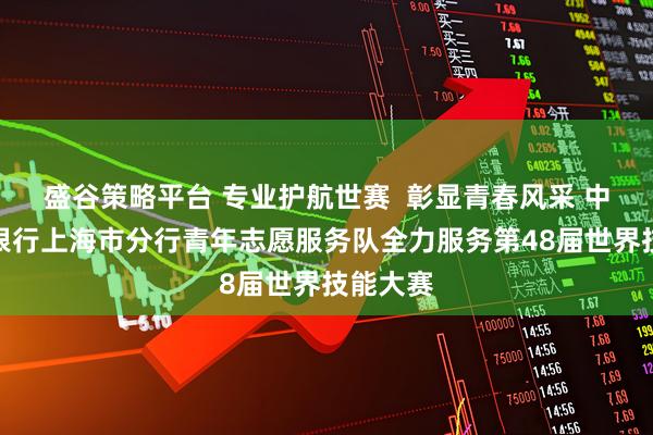 盛谷策略平台 专业护航世赛  彰显青春风采 中国工商银行上海市分行青年志愿服务队全力服务第48届世界技能大赛